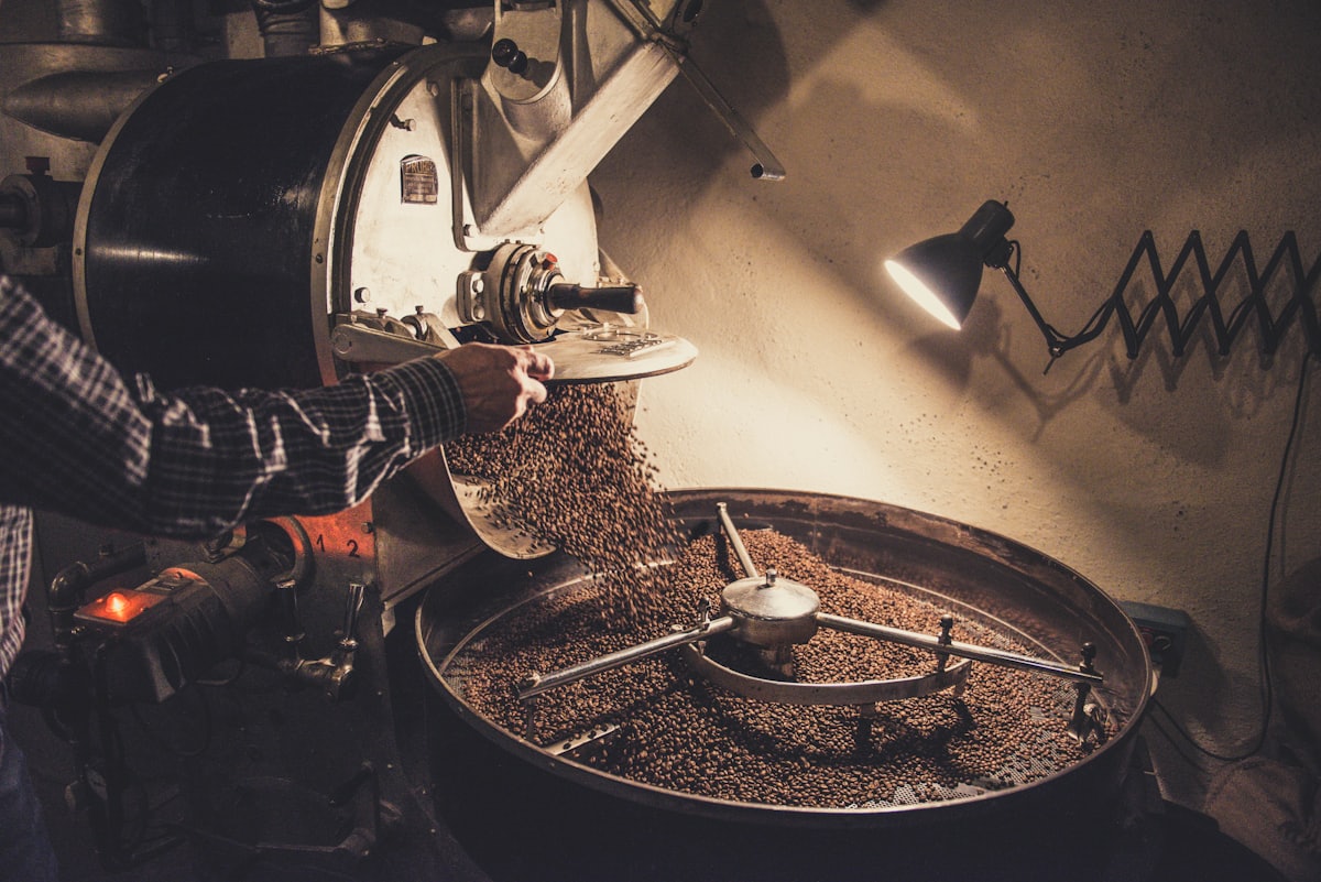 Roasted coffee beans being poured from a roasting drum